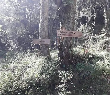 Trekking In Paradise