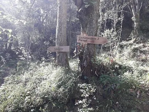 Trekking In Paradise