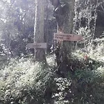Trekking In Paradise