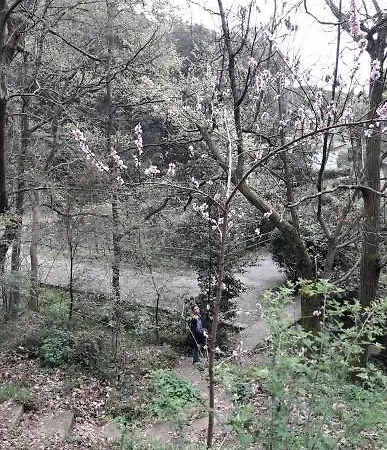 Trekking In Paradise * سانتا مارغريتا ليغور