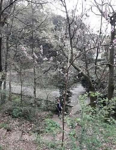 Trekking In Paradise * سانتا مارغريتا ليغور
